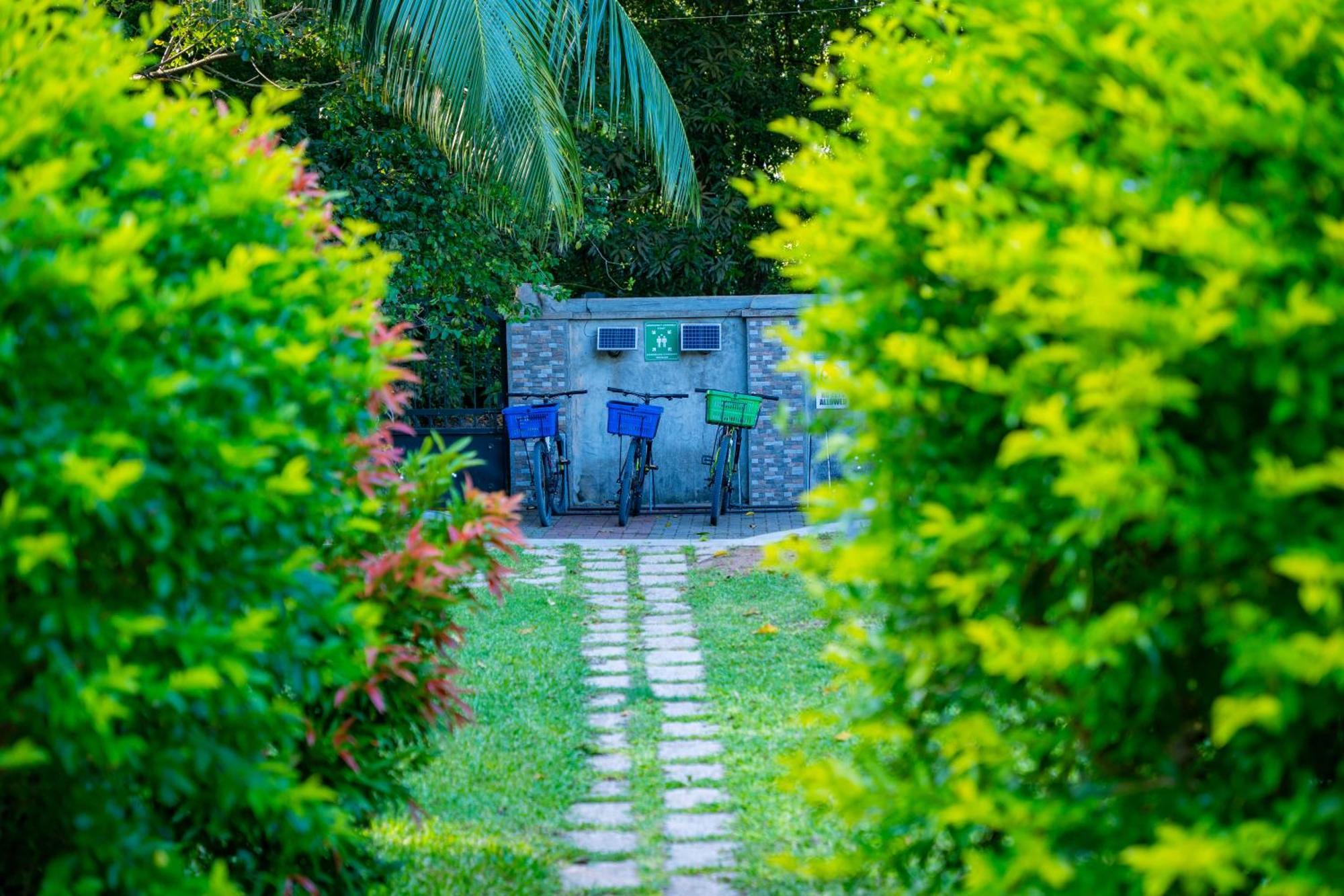 Pension Michel Villa Roche Bois La Digue  Extérieur photo